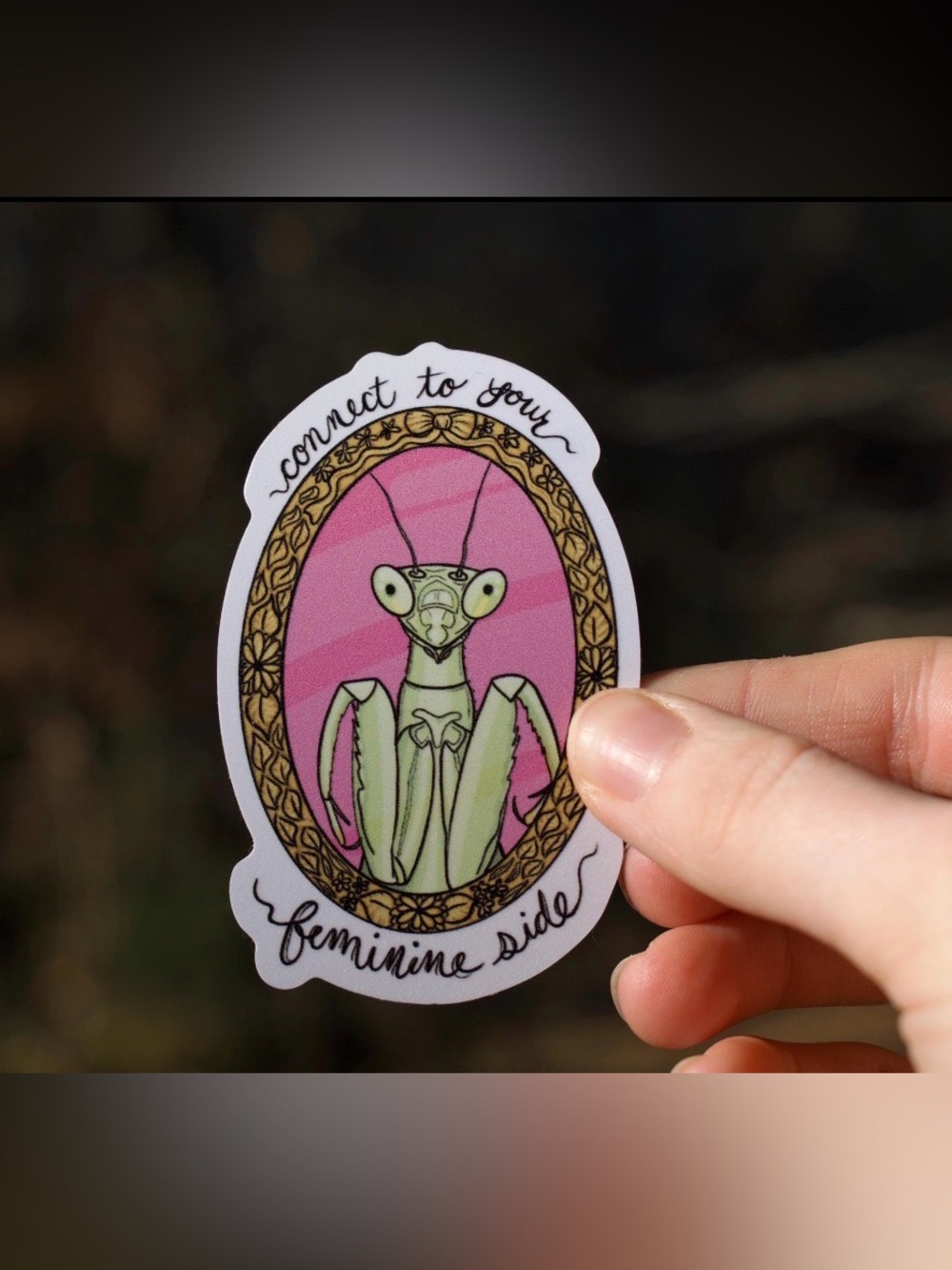 NEW Humorous Praying Mantis, Feminine Side Sticker 2” x 3”